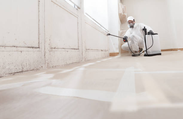 24/7 Emergency Commercial Mold Remediation experts in Waynesboro, VA